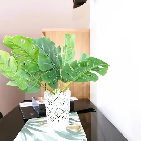 Casa Oasis By Cosycasa 公寓 佩尼契