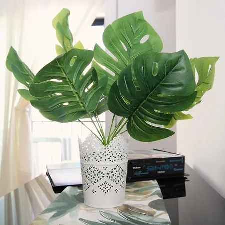 Casa Oasis By Cosycasa