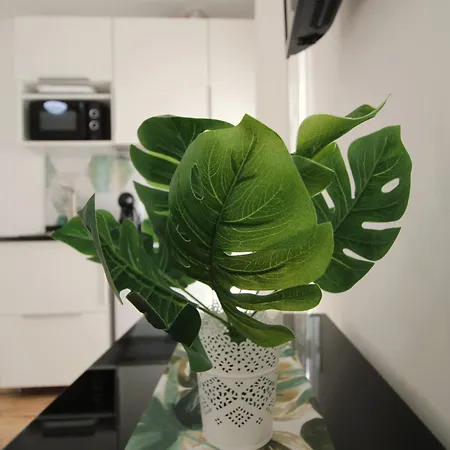 Casa Oasis By Cosycasa Διαμέρισμα